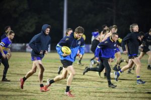 Falcon’s coach appointed