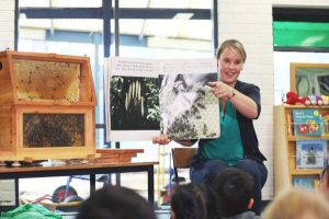 A buzzing education