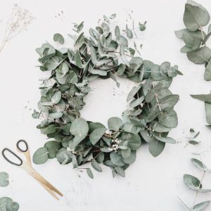 Have a green, green, green Christmas