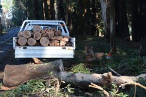 Yarra Ranges Council releases storm survey results