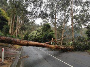 Free financial counselling for storm affected residents