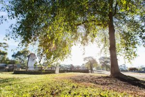 Uncovering unmarked graves
