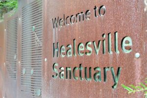 Healesville Sanctuary seeks volunteers