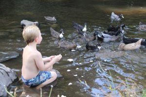 Researching the Yarra River’s ‘poor’ water quality forecasts
