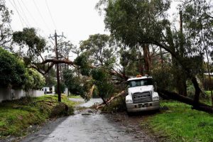 Yarra Ranges Council releases community grants for storm anniversary