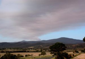 Yarra Ranges Council calls for more useable state bushfire policy