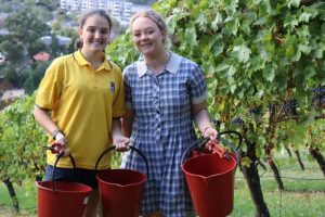 Grape-ing good time for wine making students
