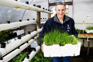 Building a sustainable school one step at a time