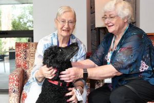 Inseparable volunteer duo make the most amazing difference