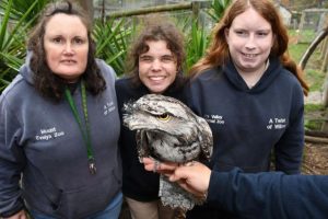 Nocturnal zoo expands NDIS program for young people