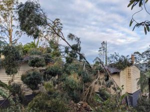 Storm support still a priority for the Council