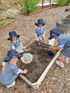 Cash boost for Seville Primary’s sustainability program