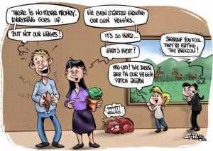 CARTOON: The effects of overpriced lettuce