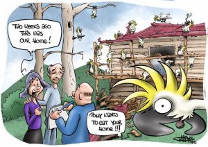 CARTOON: Attack of the cockatoo