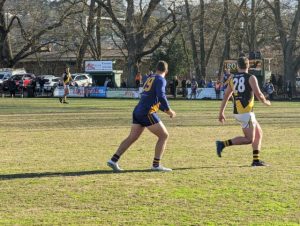 Tigers visit the Falcons’ Nest