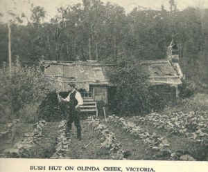 Mount Evelyn’s Walden Hut, a hub of nature and ideas