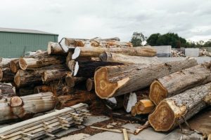 Economic Development Strategy open for local feedback