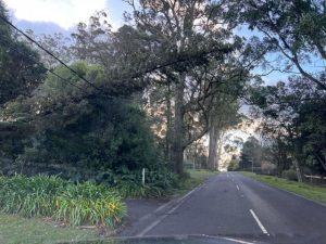 Montrose affected by power outages after wild winds