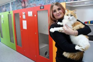 Animal welfare organisations unite for Mission Adoptable