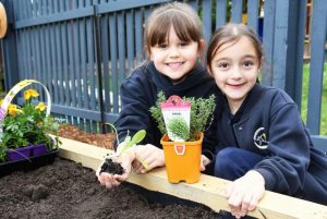 Kitchen garden becomes a reality at a Kilsyth primary school