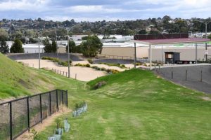 Local clubs score big in council grants program