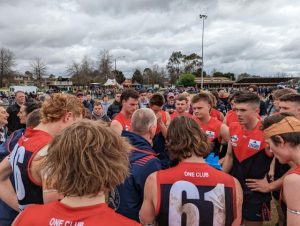 Demons devastated in a nailbiting Grand Final