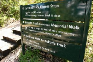 Popular 1000 Steps reopen to public