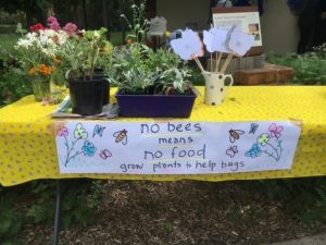 Montrose Flower Fest makes a return for third annual event