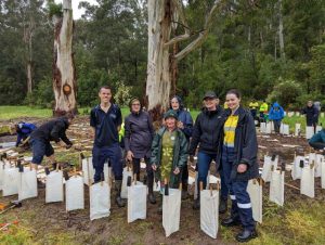 MEEPPA, Ausnet, Council team up for tree planting day