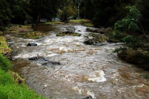 Melbourne Water stocks hit 25-year high