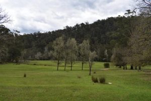 Stay safe in Victoria’s parks and forests this long weekend