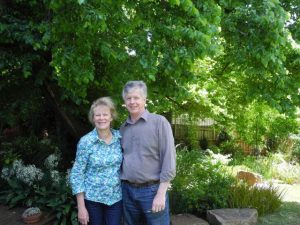 Seamless garden magic to be found in Kilsyth