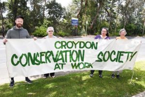 Croydon conservation concern with LXRP plan