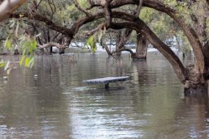 Changed park conditions across the state