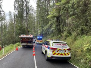Four people rescued on Black Spur after car drove off embankment