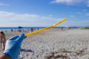 Single-use plastic ban confusion before 1 Feb deadline