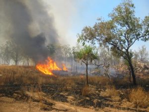 Fire danger period announced for Yarra Ranges
