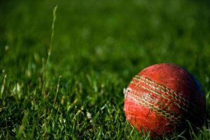 Cricket scores from the region