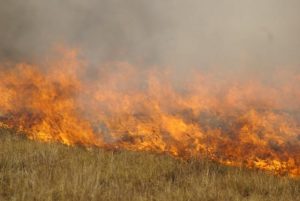 Avoiding the threat of grassfires
