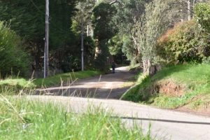 Hopes dashed by road funding cuts