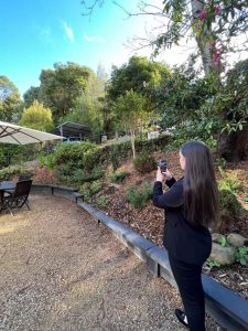 Renters flock to Yarra Ranges, tenants grab properties off market