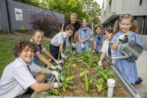 Local schools invited to grow next generation of environmental champions with Woolworths and Landcare Australia