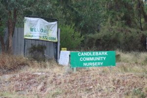 Candlebark Nursery in desperate need of support