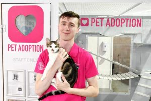 Choose to adopt this March for National Pet Adoption Month
