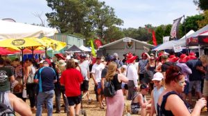 Unique Ukrainian chilli at the Herb and Chilli Festival