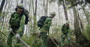 Planned burning works underway to reduce bushfire risk