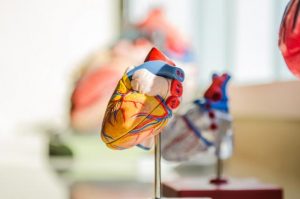 Resident community health advocate seeks council assistance