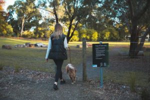 Improvements begin at Elizabeth Bridge Reserve