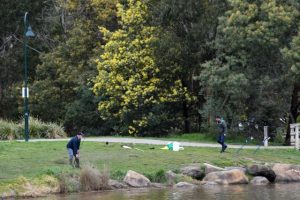 Fish find new home at Lillydale Lake