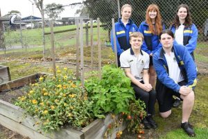 Schools recognised for sustainability initiatives